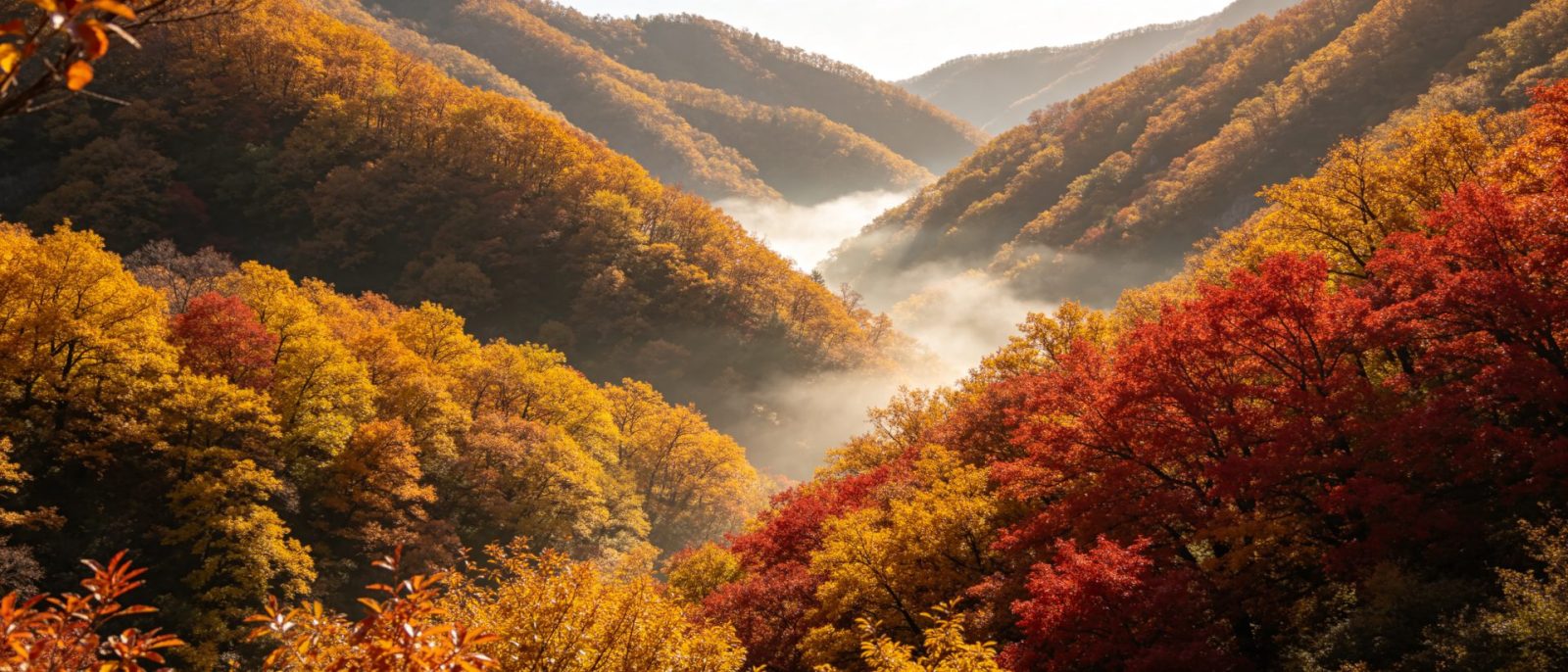 秋色山峦高清壁纸预览