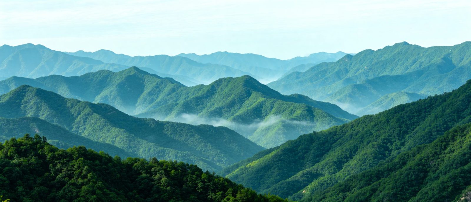 蓊郁青山高清壁纸预览