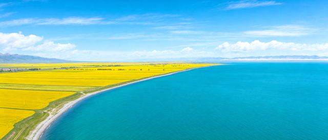 青海湖夏花岸_2静态壁纸